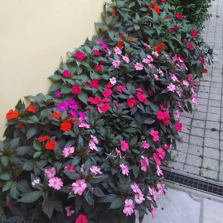 Incantomare Apartment *