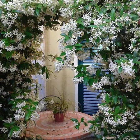 Apartment Incantomare